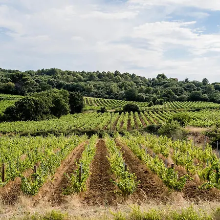 Дом отдыха 2 Ferienhaeuser Auf Dem Weingut Domaine La Grange
