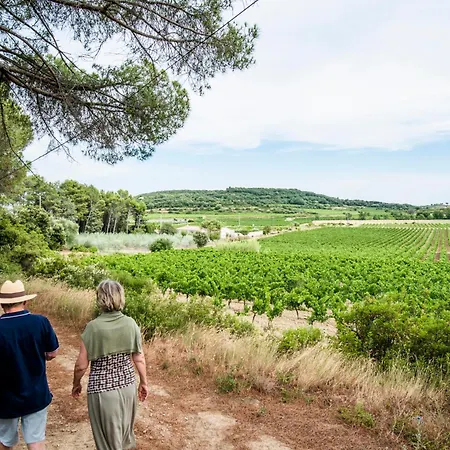 2 Ferienhaeuser Auf Dem Weingut Domaine La Grange Дом отдыха *