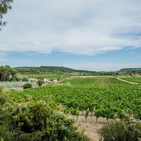 2 Ferienhaeuser Auf Dem Weingut Domaine La Grange