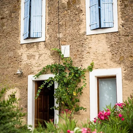 2 Ferienhaeuser Auf Dem Weingut Domaine La Grange Gabian