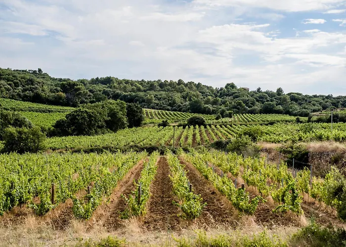 Σπίτι διακοπών 2 Ferienhaeuser Auf Dem Weingut Domaine La Grange