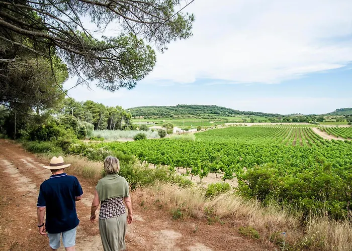 2 Ferienhaeuser Auf Dem Weingut Domaine La Grange 펜션 *