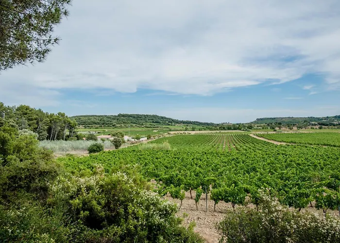 2 Ferienhaeuser Auf Dem Weingut Domaine La Grange